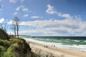 Steilküste in Rerik an der Ostsee